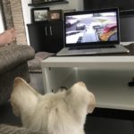 Eddie & Clark watching Formula One